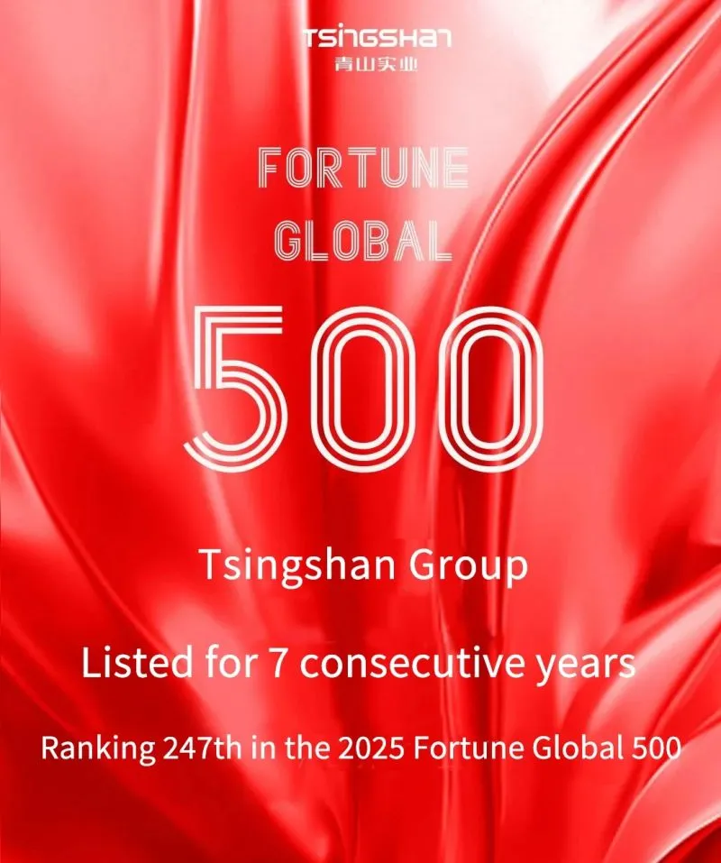 la società madre di rept battero, tsingshan holding group, è al 247° posto nella classifica 2025 di fortune global 500